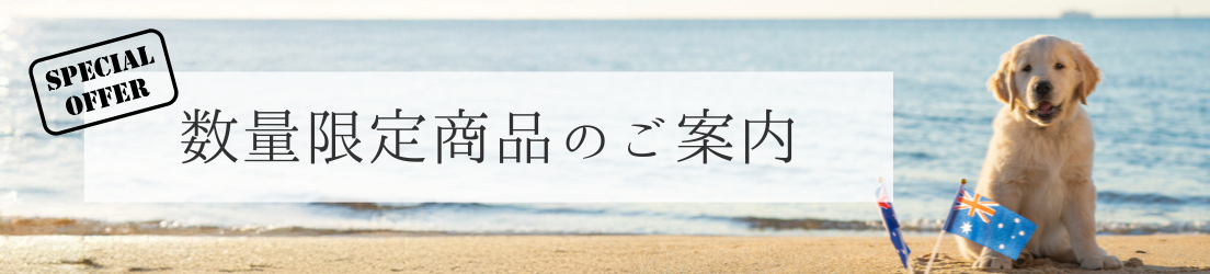 数量限定商品