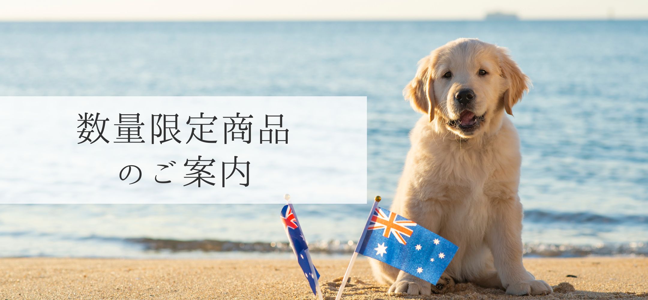 数量限定商品のご案内