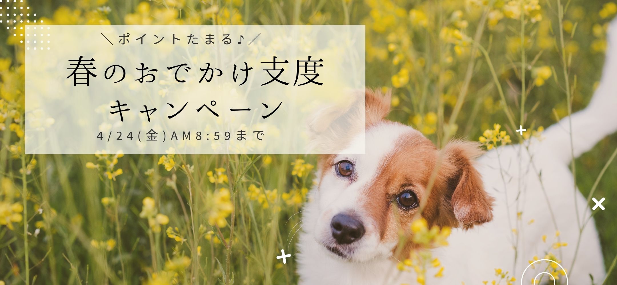 ポイントたまる♪ 春のおでかけ支度キャンペーン