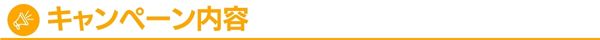キャンペーン内容