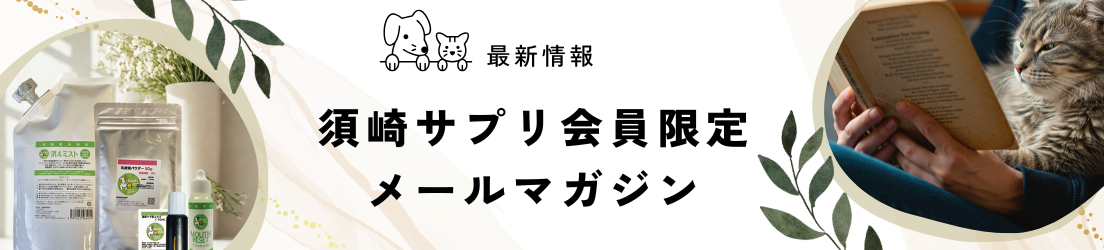 メルマガ会員登録はこちら
