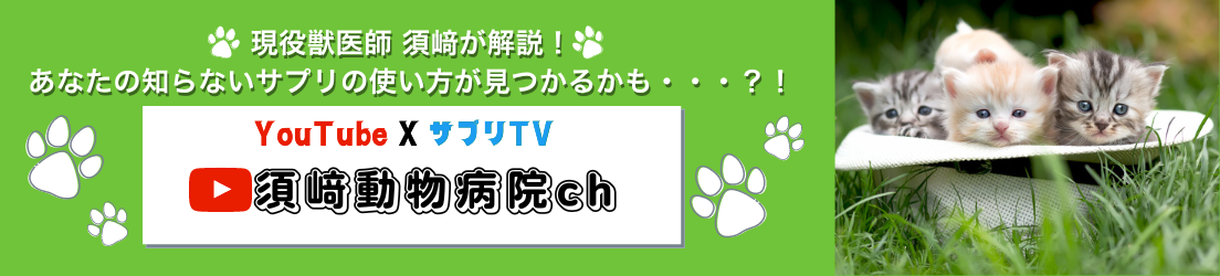 須崎動物病院YouTube×サプリTV